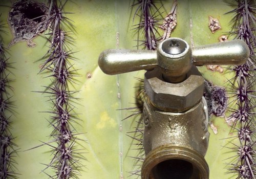 Unlock the Benefits of Banking in Maricopa County for First-Time Customers